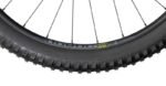 Radon Swoop AL 8.0 – Bild 3