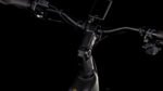 Cube Kathmandu Hybrid SLT Easy Entry 800 golddust´n´black – Bild 5