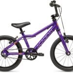 ACADEMY Grade 3 Belt Kinderfahrrad